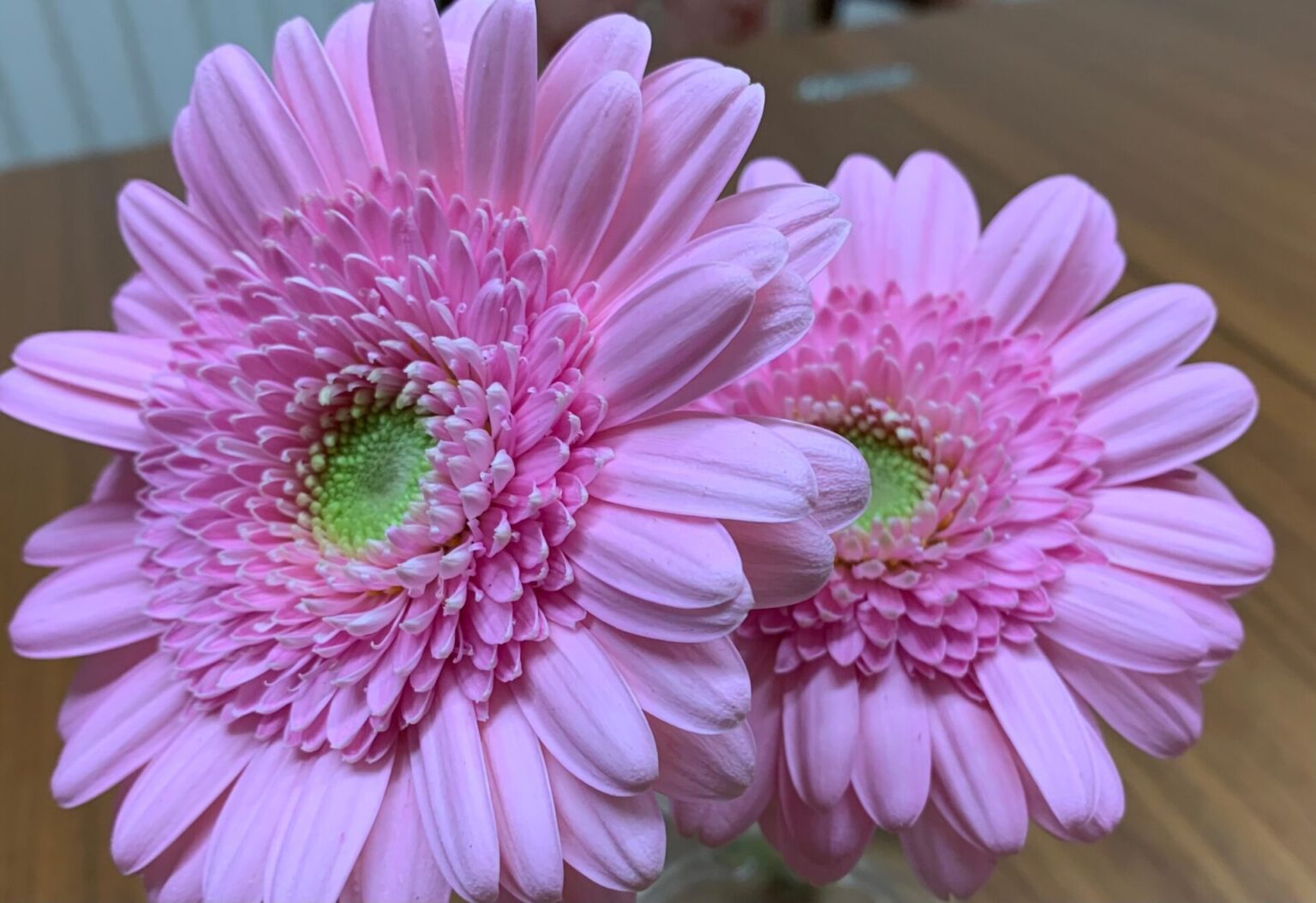 いくつかの例は何ですか?