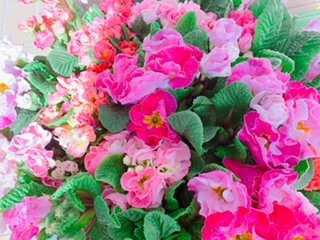 出会い方にも拘りがありますか？拘りを捨広げましょう広げましょう